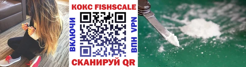 COCAIN Fish Scale  как найти закладки  Зеленокумск 