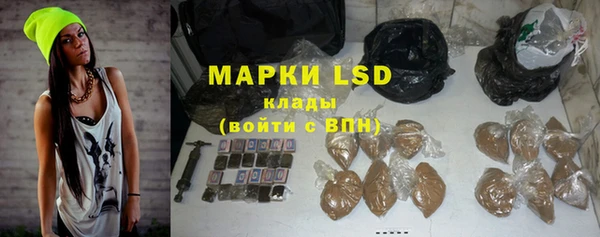 индика Ельня