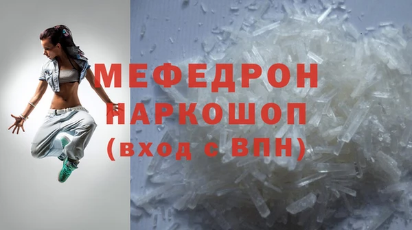 индика Ельня