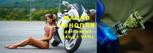индика Ельня