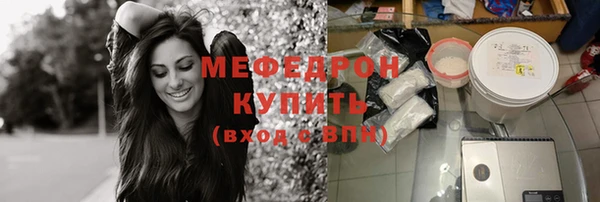 индика Ельня