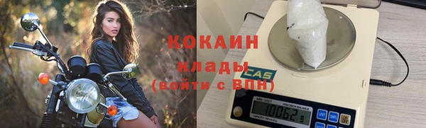 тгк Елизово