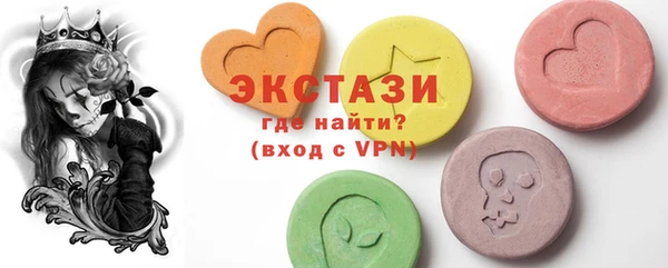 индика Ельня