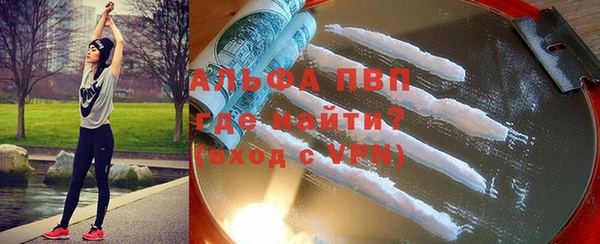 индика Ельня