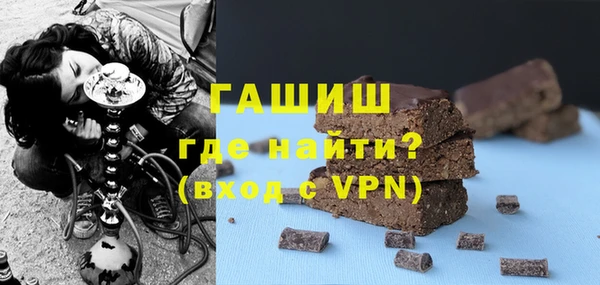 индика Ельня