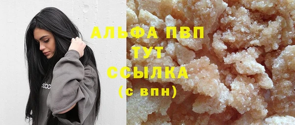 индика Ельня
