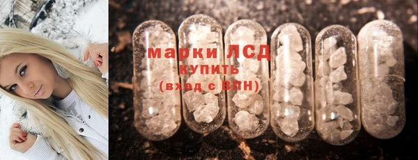 индика Ельня