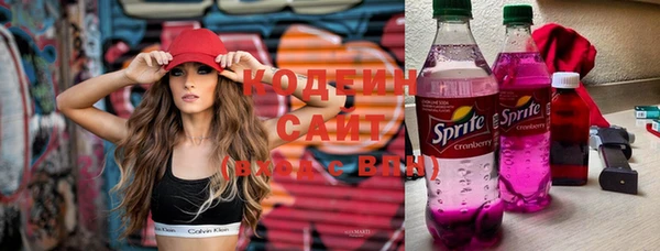 индика Ельня