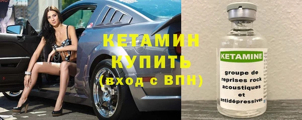 индика Ельня