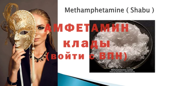 индика Ельня