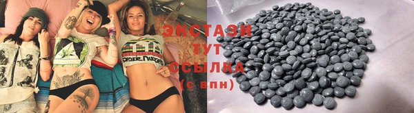 индика Ельня