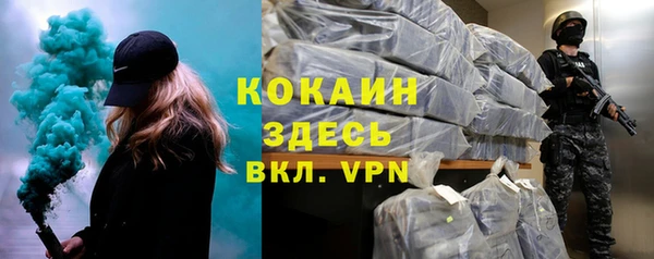 тгк Елизово