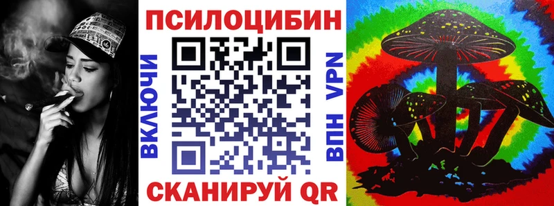 наркота  Зеленокумск  Псилоцибиновые грибы Psilocybe 